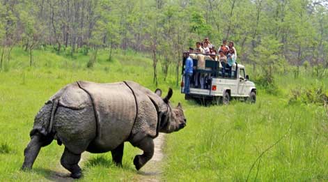 dudhwa online safari booking